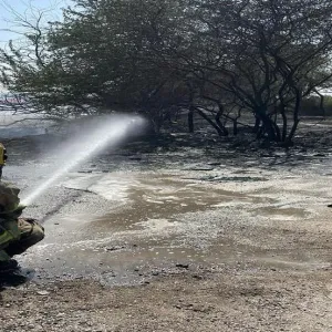 السيطرة على حريق أشجار امتد إلى شاحنة نقل في الصليبية