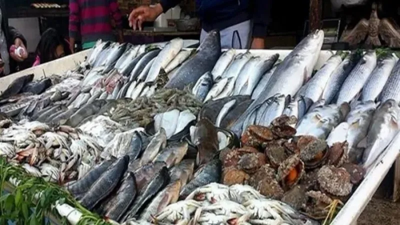أسعار السمك الیوم الاثنين 1-7-2024 في الأسواق.. «البلطي الأسواني» بـ70 جنيها