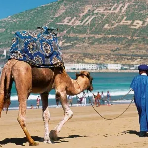 السياحة المغربية تتوج بجائزة “الوجهة الأكثر ديناميكية في العالم” ضمن جوائز السفر الدبلوماسي بنيودلهي