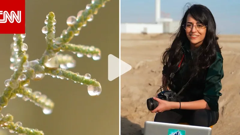 عالمة في #أبوظبي تكتشف "أعجوبة" بالصحراء قد تساعد في حل أزمة ندرة المياه