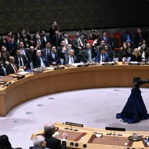 مجلس الأمن يعقد جلسة مفتوحة لمناقشة الوضع في رفح