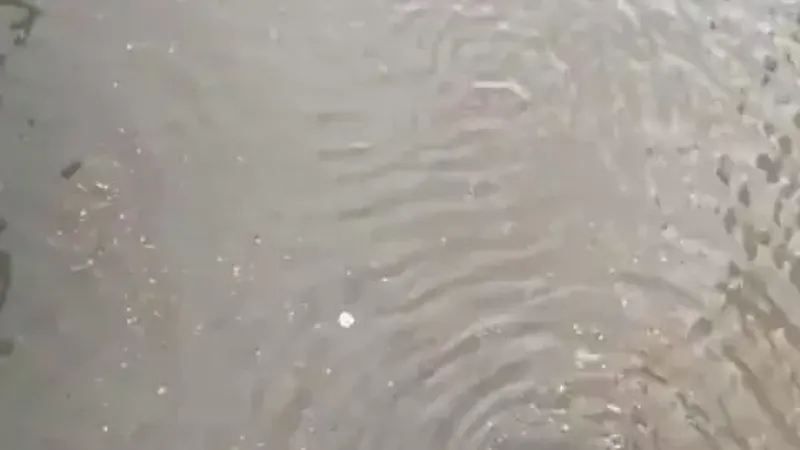 بالفيديو| مصرفي مصري ينقذ عائلة من الغرق بالإمارات.. ويحصد تفاعلاً واسعاً وتكريماً https://shrq.me/nbsgrw