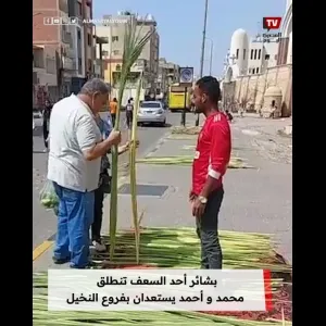 بشائر أحد السعف تنطلق.. محمد و أحمد يستعدان بفروع النخيل