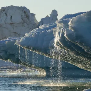 اكتشاف فيروسات عملاقة كامنة على الطبقة الجليدية في غرينلاند