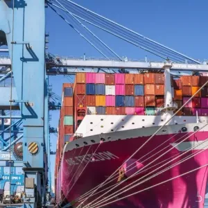 ميناء دمياط: تصدير 45 ألفا و280 طن بضائع متنوعة خلال 24 ساعة