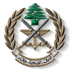 الجيش: إزالة التعديات على أملاك الدولة في طرابلس - الحارة البرانية