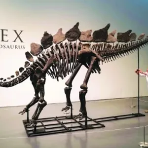 بيع أكبر هيكل عظمي لديناصور ستيجوصور بـ 44,6 مليون دولار