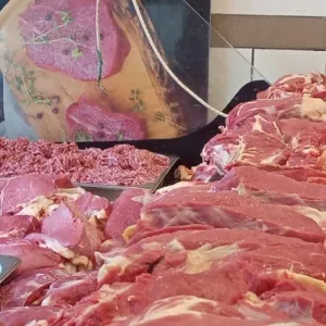 منافذ «الزراعة» تطرح اللحوم البلدية بأسعار مخفضة قبل عيد الأضحى.. الكيلو بـ250 جنيها